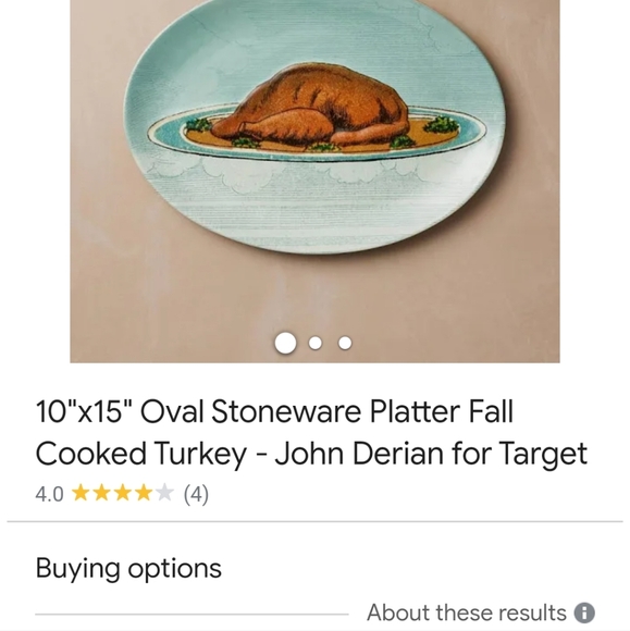 10 x 15 oval stoneware platter fall cooked turkey Jhon Derian for target - Picture 6 of 6